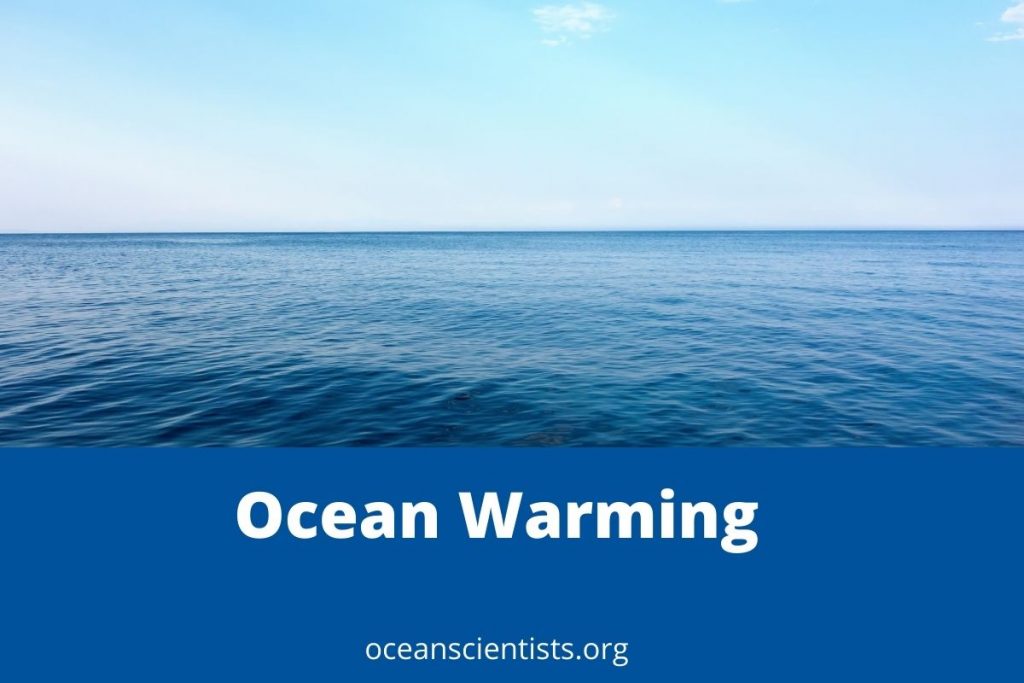 Ocean Warming Everything You Need To Know Ocean Scientists